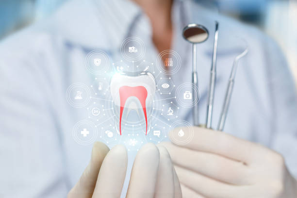 Trusted Gulf Park Estates, MS Holistic Dental Care Services Experts
